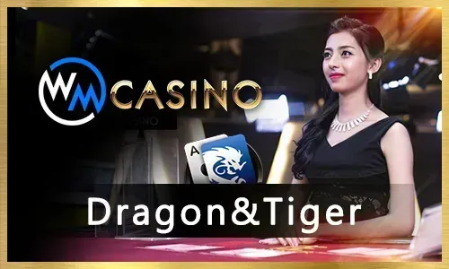 Live Dragon Tiger